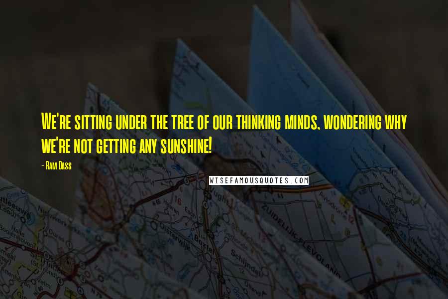 Ram Dass Quotes: We're sitting under the tree of our thinking minds, wondering why we're not getting any sunshine!