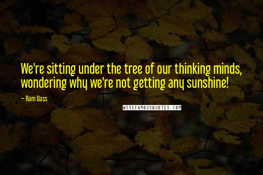 Ram Dass Quotes: We're sitting under the tree of our thinking minds, wondering why we're not getting any sunshine!