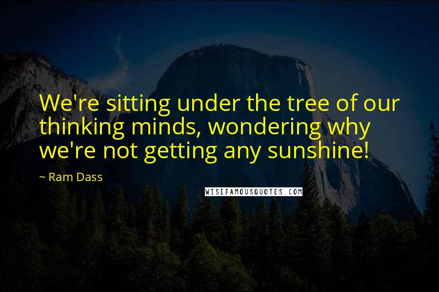 Ram Dass Quotes: We're sitting under the tree of our thinking minds, wondering why we're not getting any sunshine!