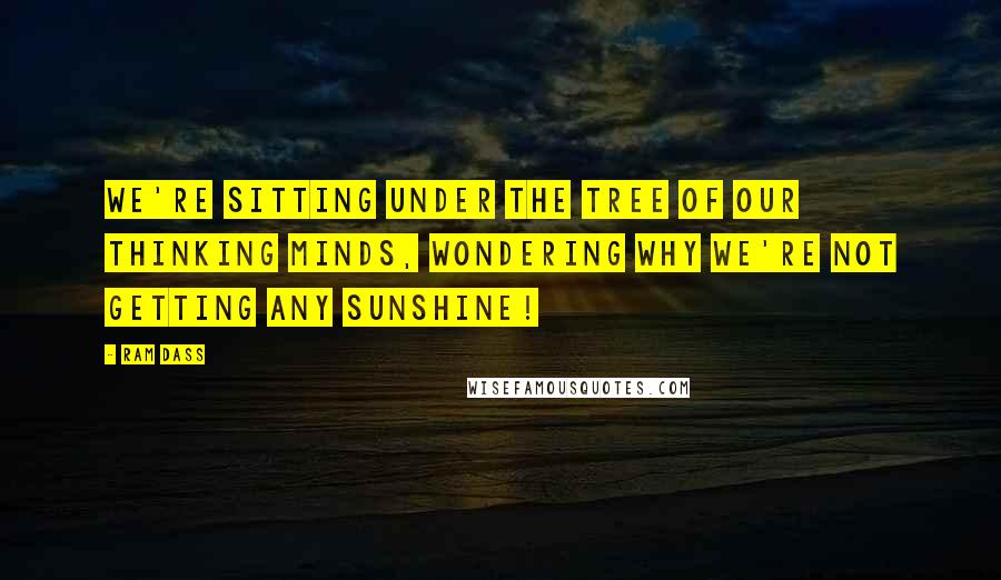 Ram Dass Quotes: We're sitting under the tree of our thinking minds, wondering why we're not getting any sunshine!