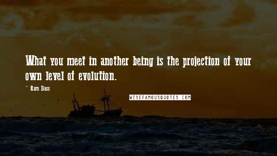 Ram Dass Quotes: What you meet in another being is the projection of your own level of evolution.