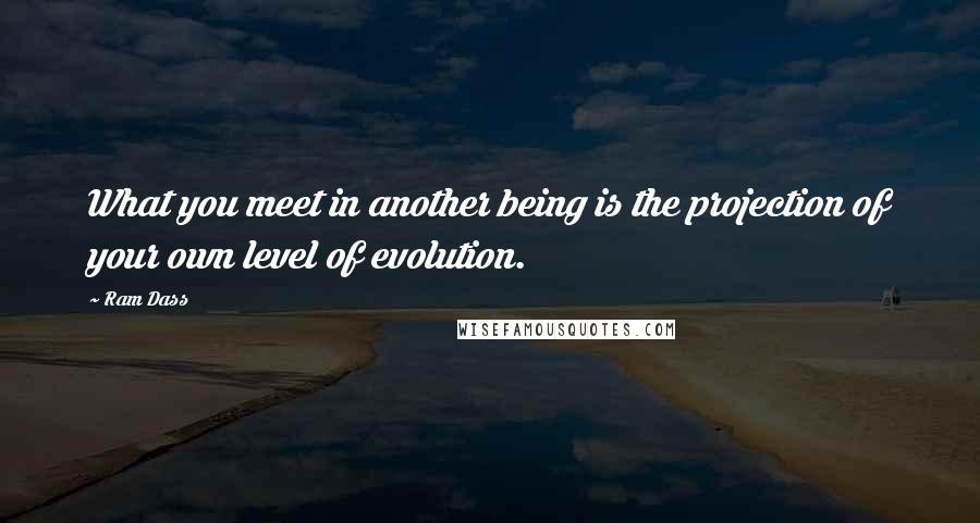 Ram Dass Quotes: What you meet in another being is the projection of your own level of evolution.