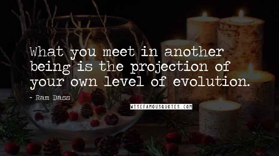 Ram Dass Quotes: What you meet in another being is the projection of your own level of evolution.