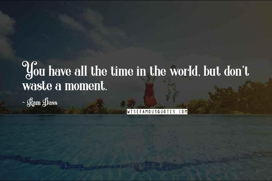 Ram Dass Quotes: You have all the time in the world, but don't waste a moment.