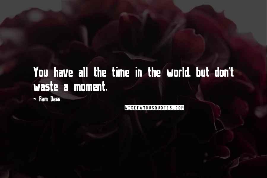 Ram Dass Quotes: You have all the time in the world, but don't waste a moment.
