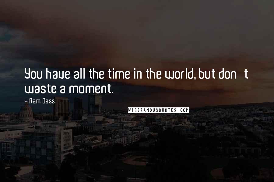 Ram Dass Quotes: You have all the time in the world, but don't waste a moment.