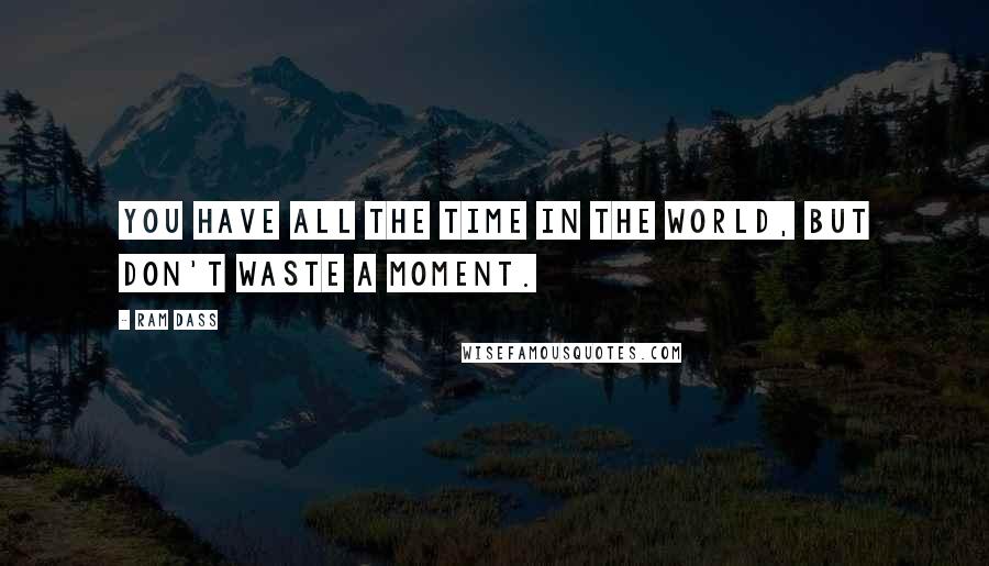 Ram Dass Quotes: You have all the time in the world, but don't waste a moment.