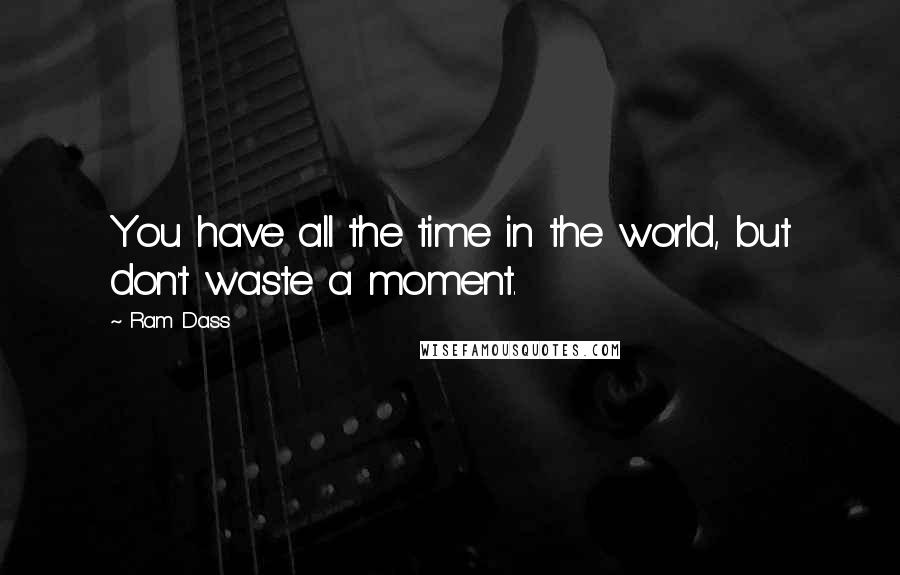 Ram Dass Quotes: You have all the time in the world, but don't waste a moment.