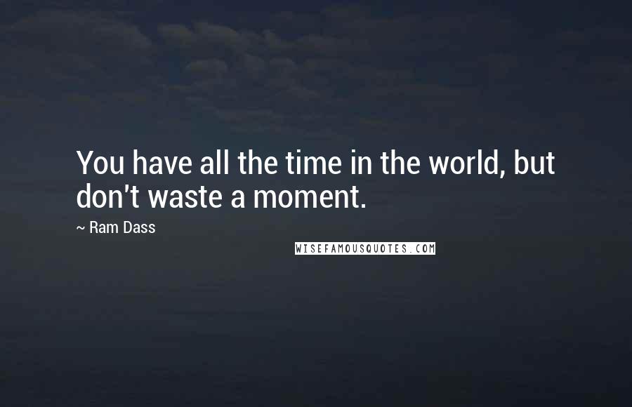 Ram Dass Quotes: You have all the time in the world, but don't waste a moment.