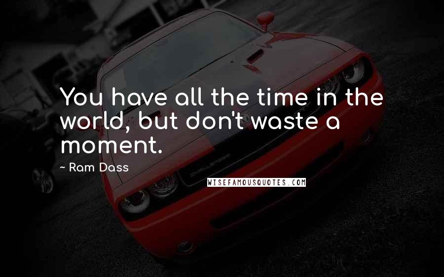 Ram Dass Quotes: You have all the time in the world, but don't waste a moment.