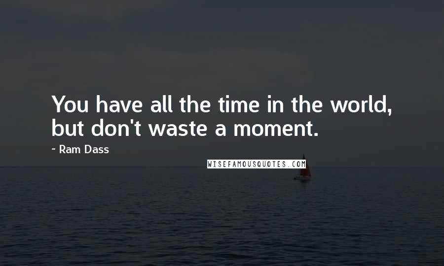 Ram Dass Quotes: You have all the time in the world, but don't waste a moment.
