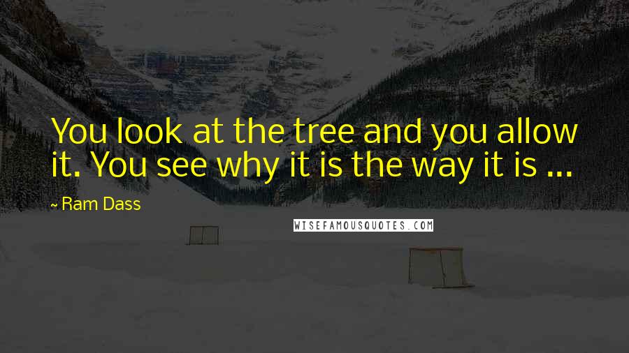 Ram Dass Quotes: You look at the tree and you allow it. You see why it is the way it is ...