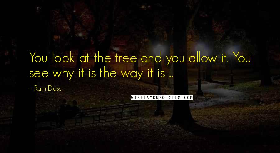 Ram Dass Quotes: You look at the tree and you allow it. You see why it is the way it is ...