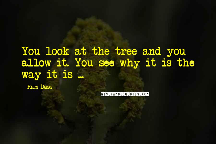 Ram Dass Quotes: You look at the tree and you allow it. You see why it is the way it is ...