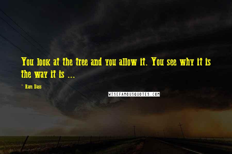 Ram Dass Quotes: You look at the tree and you allow it. You see why it is the way it is ...