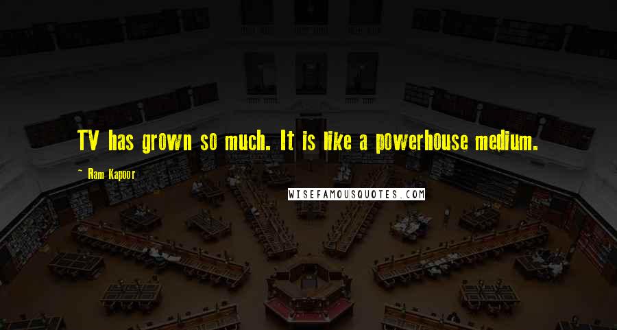 Ram Kapoor Quotes: TV has grown so much. It is like a powerhouse medium.