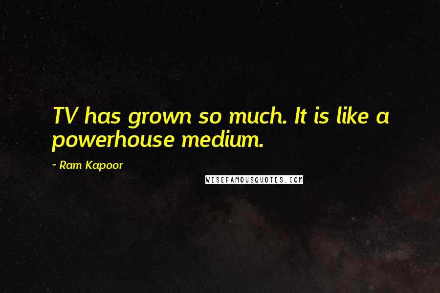 Ram Kapoor Quotes: TV has grown so much. It is like a powerhouse medium.