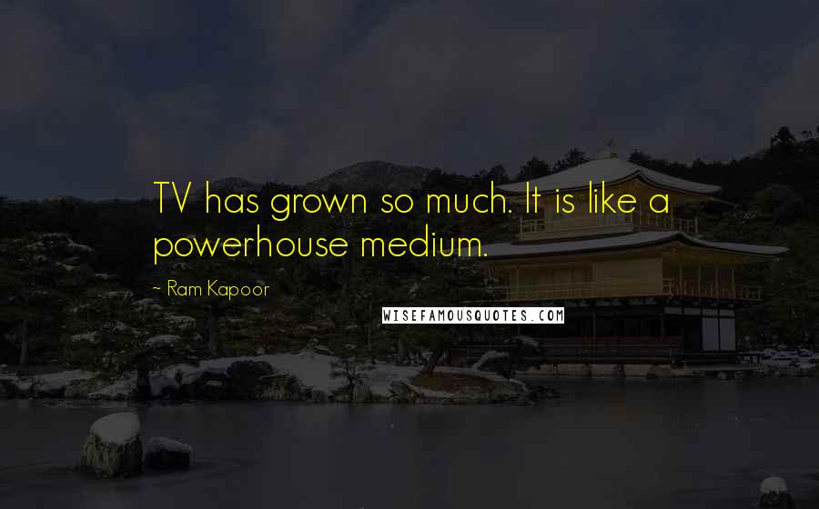 Ram Kapoor Quotes: TV has grown so much. It is like a powerhouse medium.