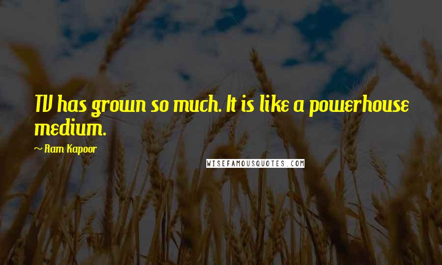 Ram Kapoor Quotes: TV has grown so much. It is like a powerhouse medium.