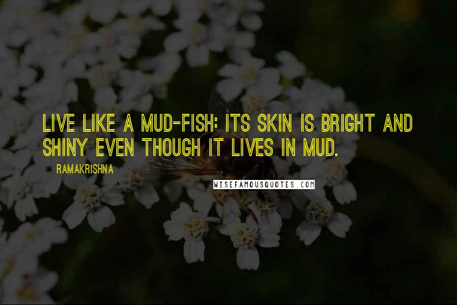 Ramakrishna Quotes: Live like a mud-fish: its skin is bright and shiny even though it lives in mud.