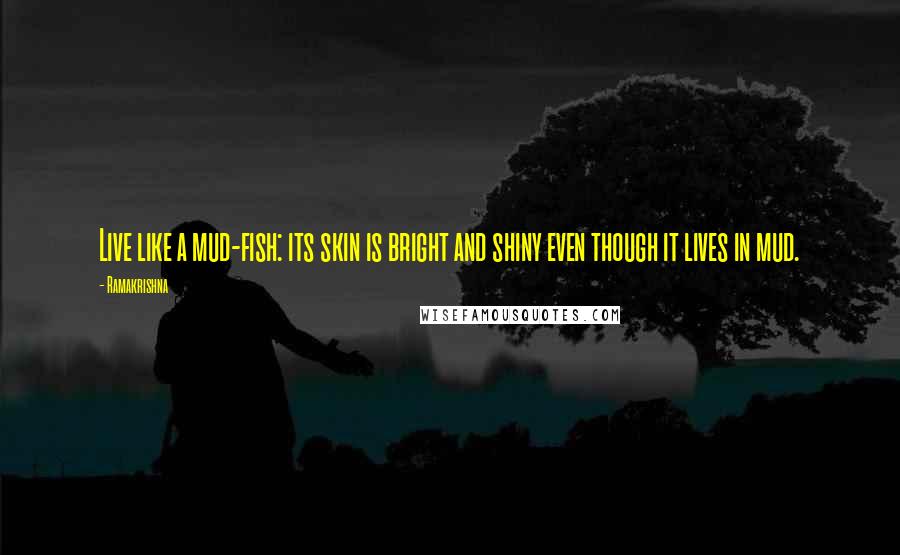 Ramakrishna Quotes: Live like a mud-fish: its skin is bright and shiny even though it lives in mud.