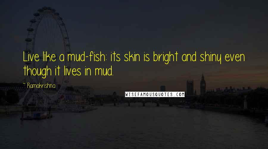 Ramakrishna Quotes: Live like a mud-fish: its skin is bright and shiny even though it lives in mud.