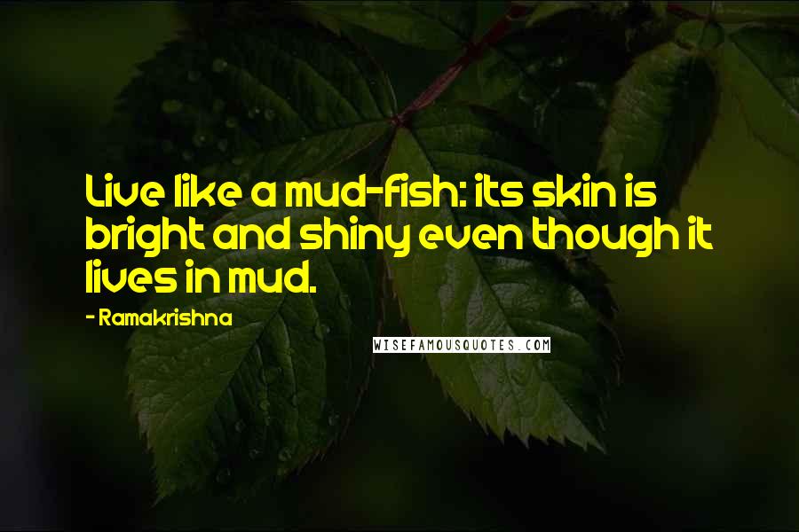 Ramakrishna Quotes: Live like a mud-fish: its skin is bright and shiny even though it lives in mud.