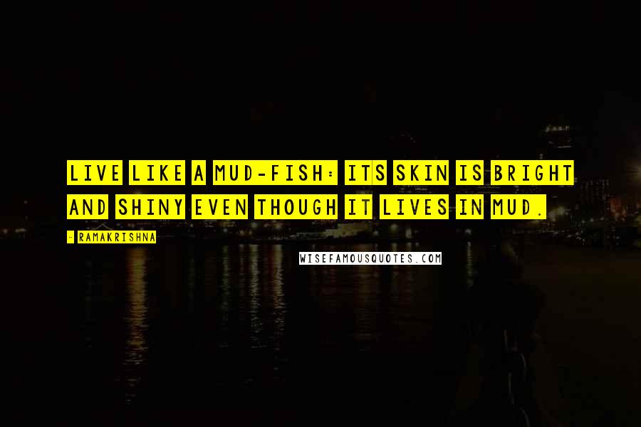 Ramakrishna Quotes: Live like a mud-fish: its skin is bright and shiny even though it lives in mud.