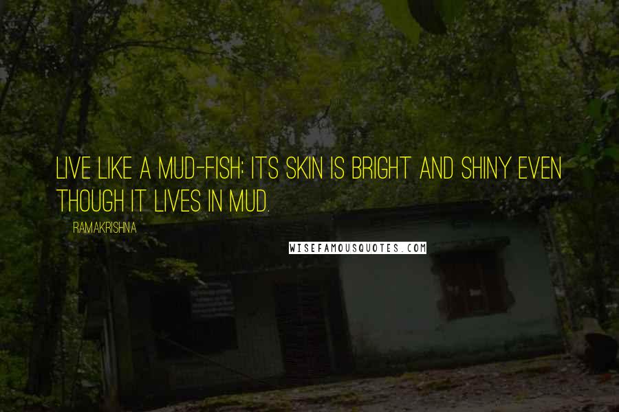 Ramakrishna Quotes: Live like a mud-fish: its skin is bright and shiny even though it lives in mud.