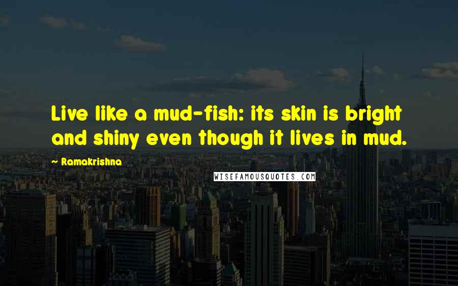 Ramakrishna Quotes: Live like a mud-fish: its skin is bright and shiny even though it lives in mud.