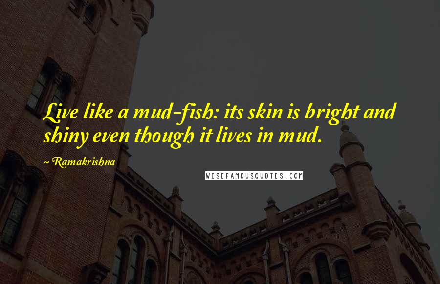 Ramakrishna Quotes: Live like a mud-fish: its skin is bright and shiny even though it lives in mud.