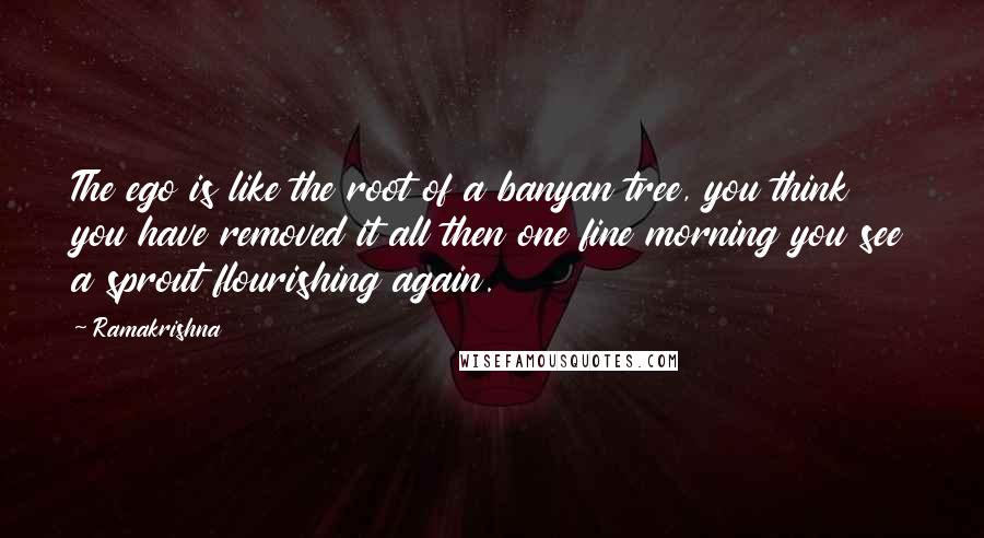 Ramakrishna Quotes: The ego is like the root of a banyan tree, you think you have removed it all then one fine morning you see a sprout flourishing again.