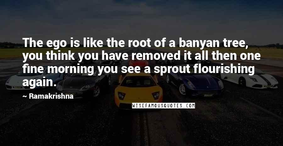 Ramakrishna Quotes: The ego is like the root of a banyan tree, you think you have removed it all then one fine morning you see a sprout flourishing again.