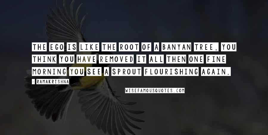 Ramakrishna Quotes: The ego is like the root of a banyan tree, you think you have removed it all then one fine morning you see a sprout flourishing again.