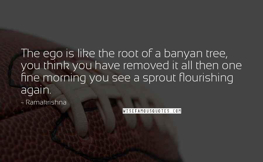 Ramakrishna Quotes: The ego is like the root of a banyan tree, you think you have removed it all then one fine morning you see a sprout flourishing again.