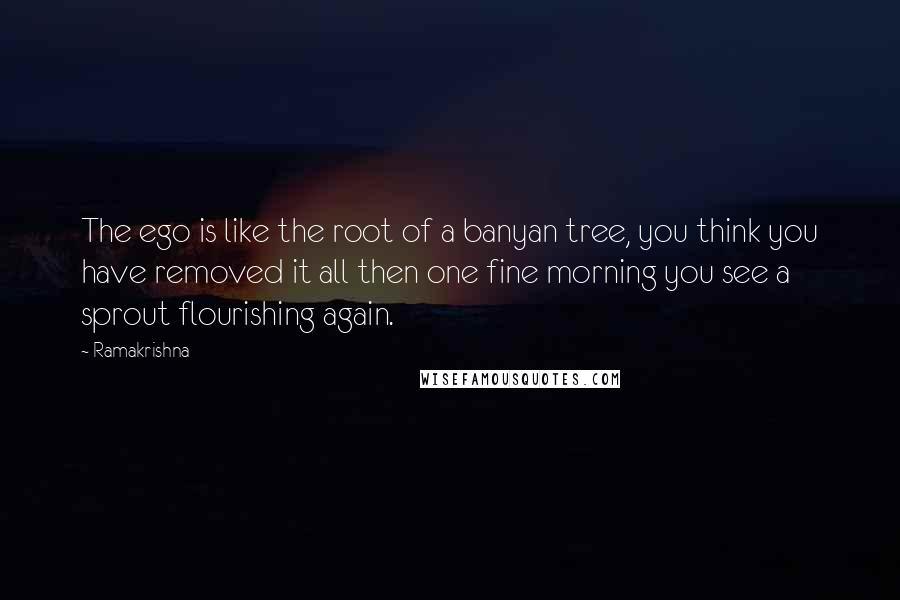 Ramakrishna Quotes: The ego is like the root of a banyan tree, you think you have removed it all then one fine morning you see a sprout flourishing again.