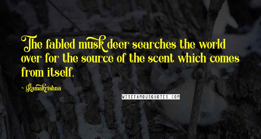 Ramakrishna Quotes: The fabled musk deer searches the world over for the source of the scent which comes from itself.