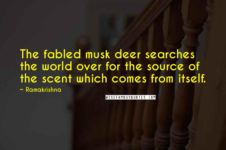 Ramakrishna Quotes: The fabled musk deer searches the world over for the source of the scent which comes from itself.