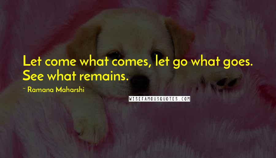 Ramana Maharshi Quotes: Let come what comes, let go what goes. See what remains.