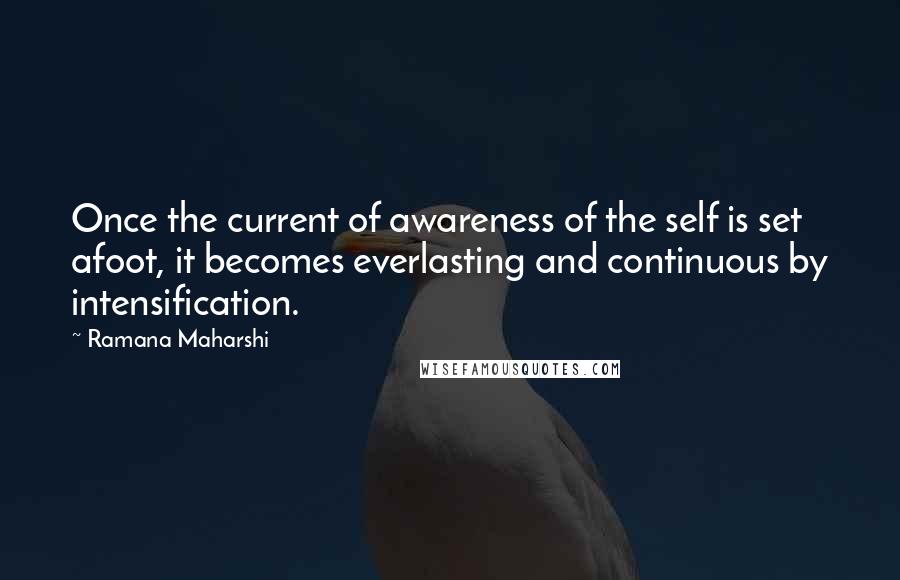 Ramana Maharshi Quotes: Once the current of awareness of the self is set afoot, it becomes everlasting and continuous by intensification.