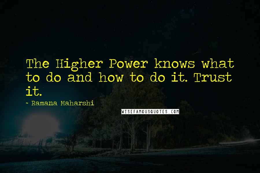 Ramana Maharshi Quotes: The Higher Power knows what to do and how to do it. Trust it.