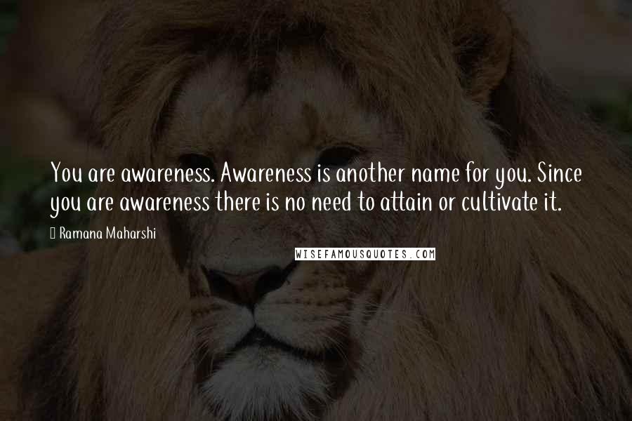 Ramana Maharshi Quotes: You are awareness. Awareness is another name for you. Since you are awareness there is no need to attain or cultivate it.