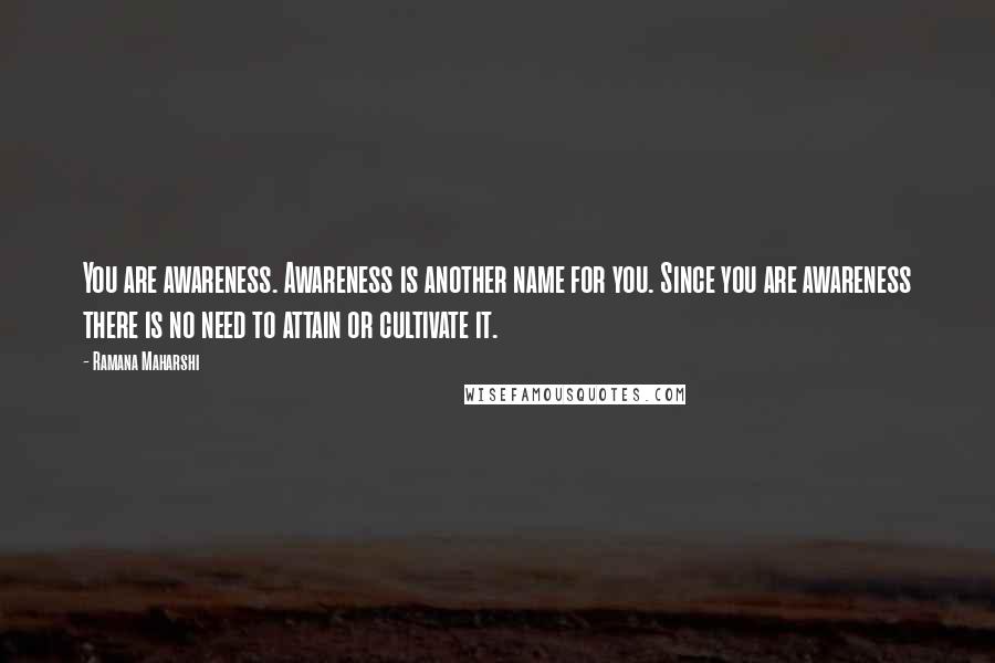 Ramana Maharshi Quotes: You are awareness. Awareness is another name for you. Since you are awareness there is no need to attain or cultivate it.