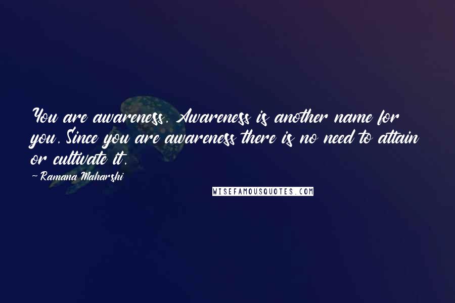 Ramana Maharshi Quotes: You are awareness. Awareness is another name for you. Since you are awareness there is no need to attain or cultivate it.