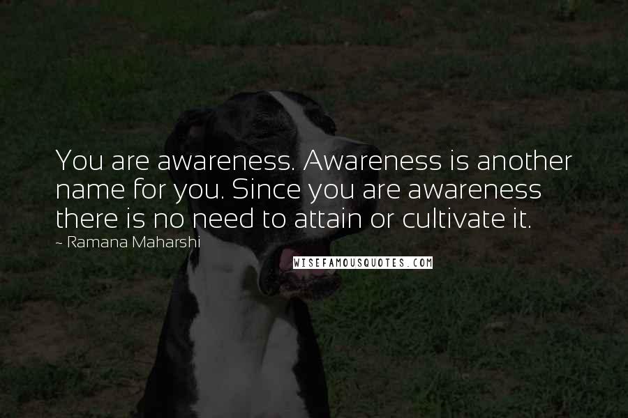 Ramana Maharshi Quotes: You are awareness. Awareness is another name for you. Since you are awareness there is no need to attain or cultivate it.