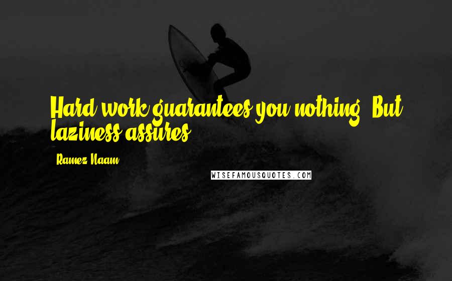 Ramez Naam Quotes: Hard work guarantees you nothing. But laziness assures