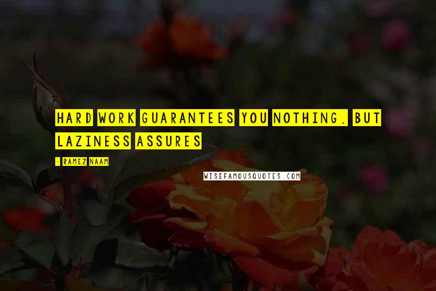 Ramez Naam Quotes: Hard work guarantees you nothing. But laziness assures