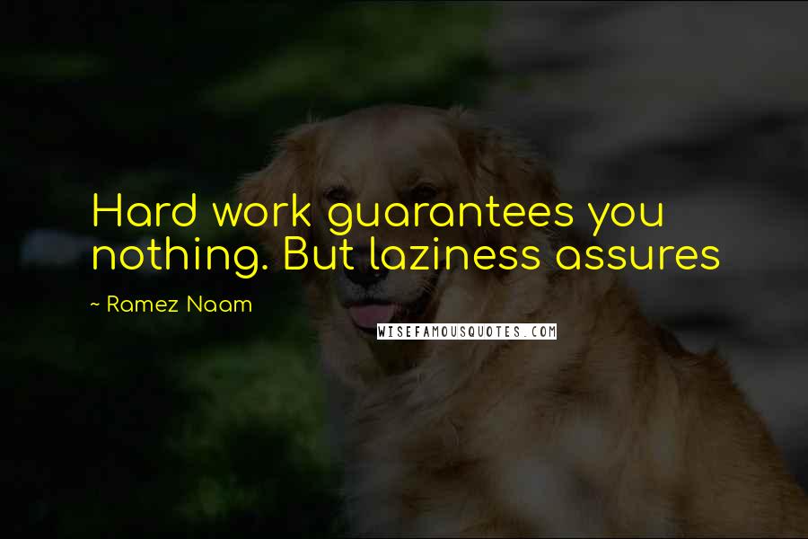 Ramez Naam Quotes: Hard work guarantees you nothing. But laziness assures