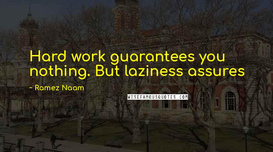 Ramez Naam Quotes: Hard work guarantees you nothing. But laziness assures