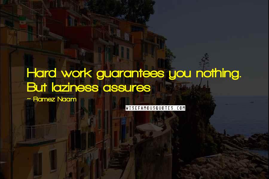 Ramez Naam Quotes: Hard work guarantees you nothing. But laziness assures